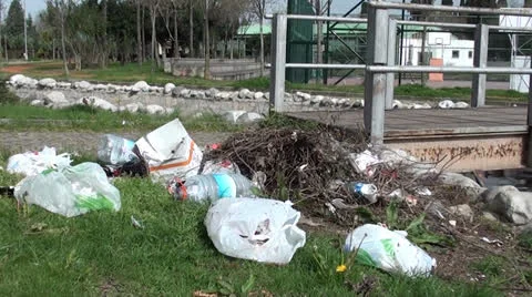 Litter in the park Stock Footage 24048751