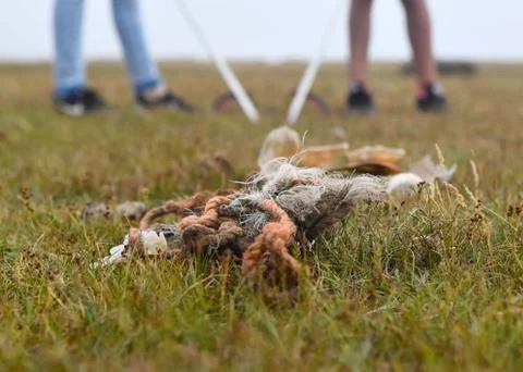 Litter pickers Stock Photos