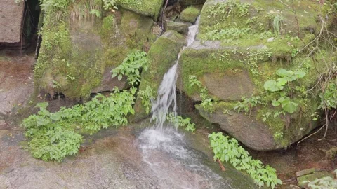 litter water fall in nature | Stock Video | Pond5