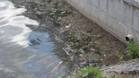 Littered with dirty water 2 스톡 동영상 25006570