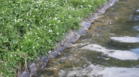 Littered with dirty water 4 Stock Footage 25006381