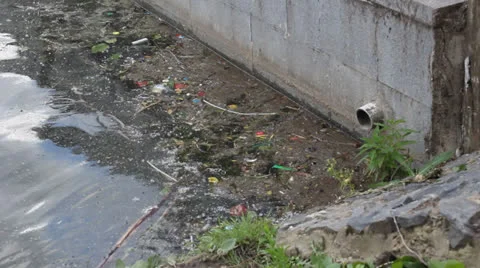 Littered with dirty water Video stock 25006713
