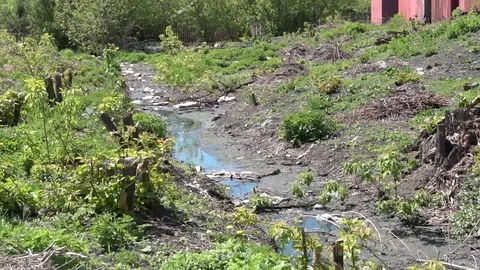 Littered ditch Stock Footage 114804478