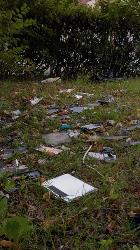 Littered grassy verge with broken electronics beside dense hedge and roadside Stock Footage 344968434