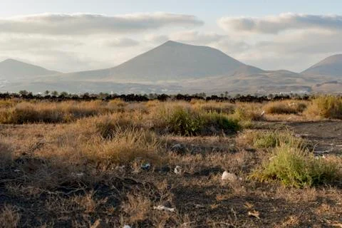 Littered landscape, Lanzarote Stock Photos