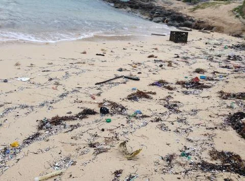 Littered Shore. Stock Photos