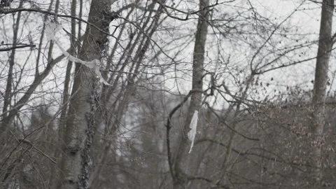 Littering - Plastic Garbage Hanging In Trees Stock Footage 147130471