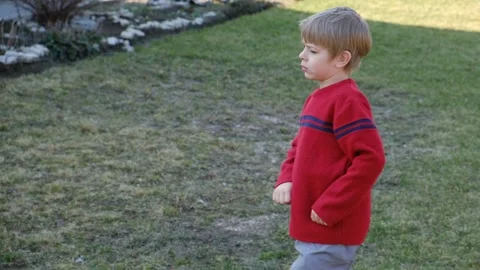 Little 6 years old kid boy practicing punches, karate, taekwondo movements at Stock Footage 333474819