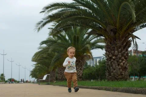 Little active boy running down the path and smiling. Palm trees and bright grass Stock Photos