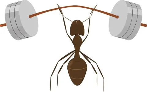 Little ant Stock Illustration