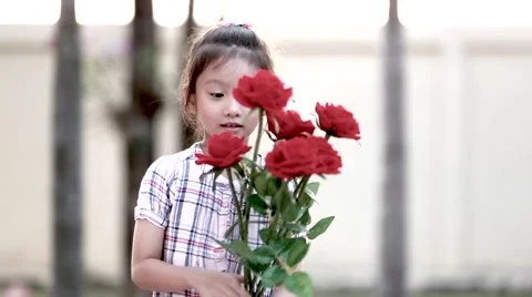 Little asian girl enjoy with red roses Video stock 59775043