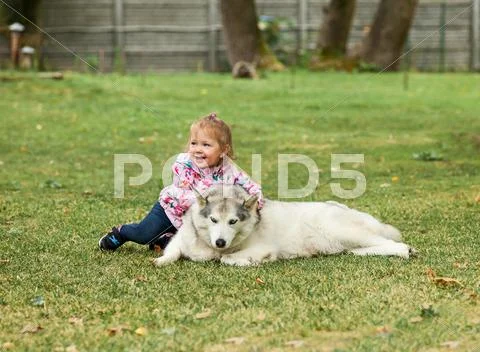 The little baby girl playing with dog against green grass Stock Photos