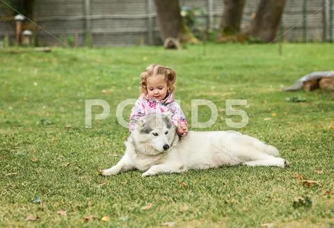 The little baby girl playing with dog against green grass Stock Photos