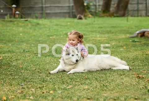 The little baby girl playing with dog against green grass Stock Photos