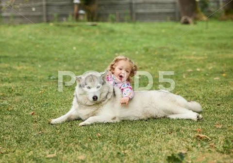 The little baby girl playing with dog against green grass Stock Photos