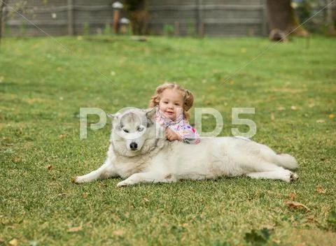 The little baby girl playing with dog against green grass Stock Photos