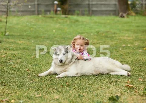 The little baby girl playing with dog against green grass Stock Photos