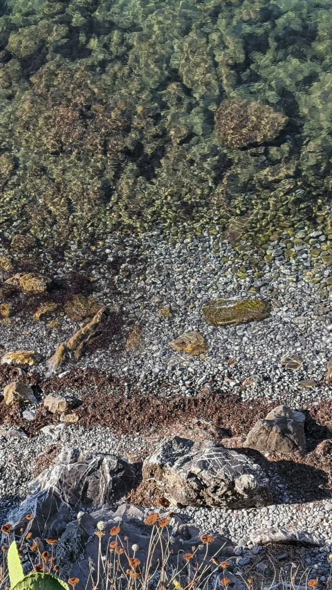 Little beach with rocks Stock Footage 314226228
