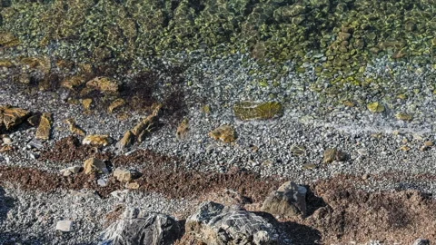 Little beach with rocks Stock Footage 314227495
