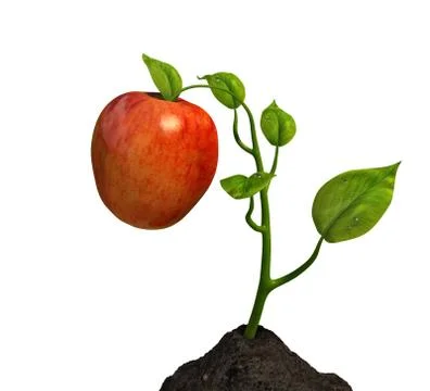 Little big apple Stock Illustration
