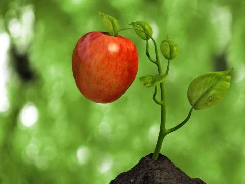 Little big apple Stock Illustration