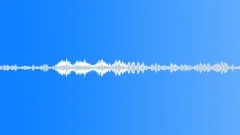 Little Bird ChirpSound Effect