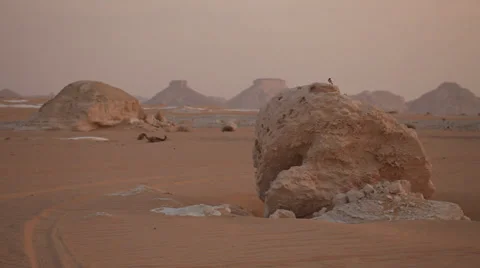 Little bird on a limestone formation in the White Desert, Egypt Stock Footage 36740316