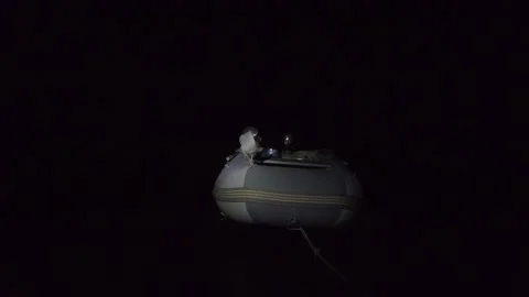 Little Blue Heron walking on Dingy’s edge stalking fish Stock Footage 176391906