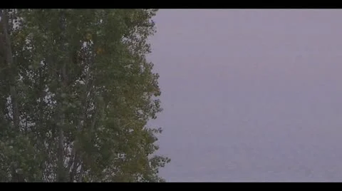 Little Boat 動画素材 12728937