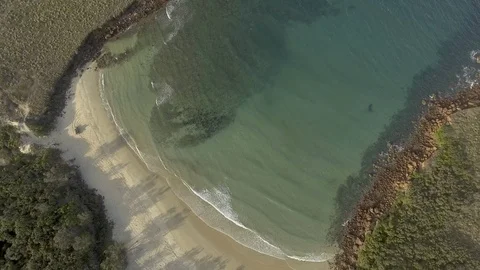 Little Bondi Stock Footage 107375049