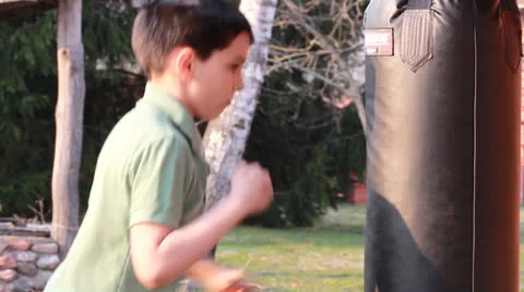 Little boxer training Vídeo Stock 22878630