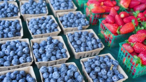 Little Boxes Full with Berries Stock Footage 241609314