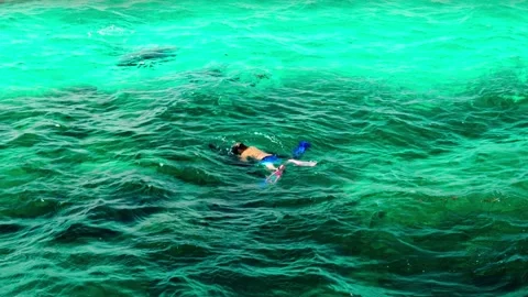 A little boy and an instructor scuba dive in the open sea above a coral reef. Stock Footage 324893218