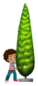 Little boy and pine tree Illustration