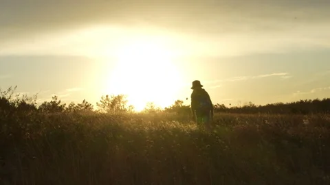 Little boy with backpack walking across steppe into sunset Stock Footage 318217785