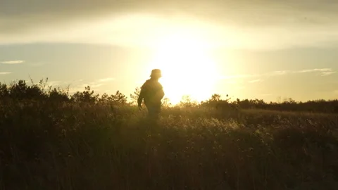 Little boy with backpack walking through steppe at sunset Stock-Footage 317338039
