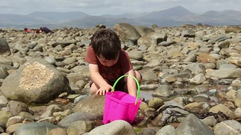 Little boy on the beach rock pooling with a bucket and spade Stock Footage 72548313