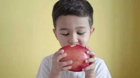 Little boy bites a big red apple on colour background Stock Footage 195038198