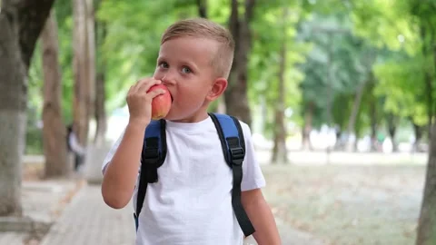 A little boy with a briefcase on his back eats an apple. Stock Footage 208336372