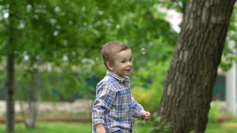 Little boy catches soap bubbles Stock Footage 75798826