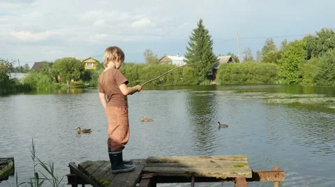 A little boy caught a small fish in the pond with ducks, Full HD footage Stock Footage 67239733