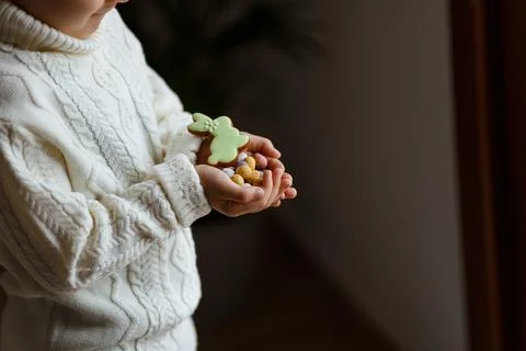 Little boy with chocolate easter eggs and bunny cookie in his hands Stock Photos