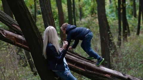 Little boy climb the old tree Video stock 72587146