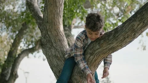 Little boy climbed on a tree branch, fooling around and laughing Stock Footage 146530557