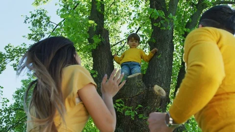 Little boy climbed in a tree Stock Footage 100002945
