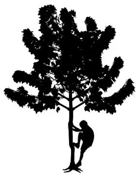 Little boy climbing tree Stock Illustration