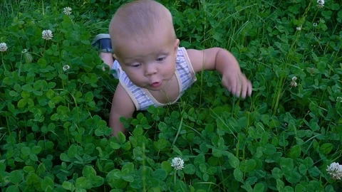 Little boy creeps on the grass Video stock 79923645