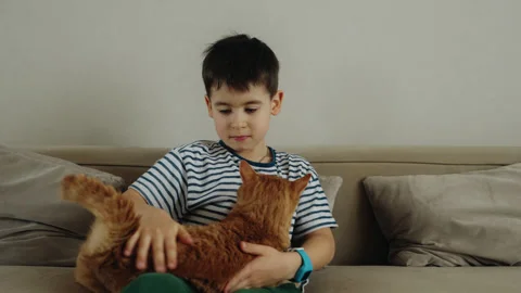 Little boy with cute ginger cat on sofa at home. Child and cat. Kids and pets. Stock Footage 274130826