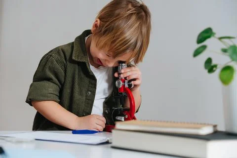 Little boy doing science project, looking through the microscope Stock Photos