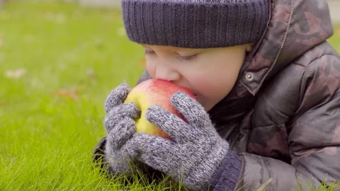 Little boy eating apple lying on the grass Stock Footage 70812221
